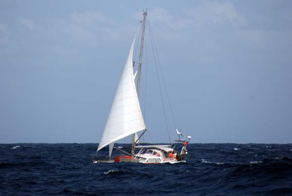 alua-260.jpg